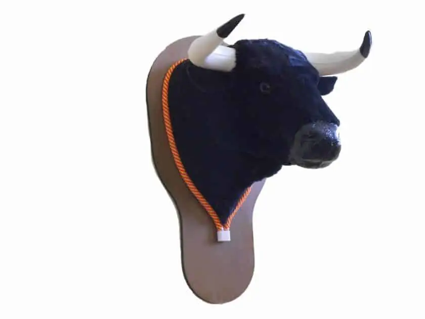 Cabeza de toro para decoración