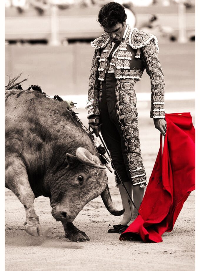 Picture the greatness of jose tomas bullfighter