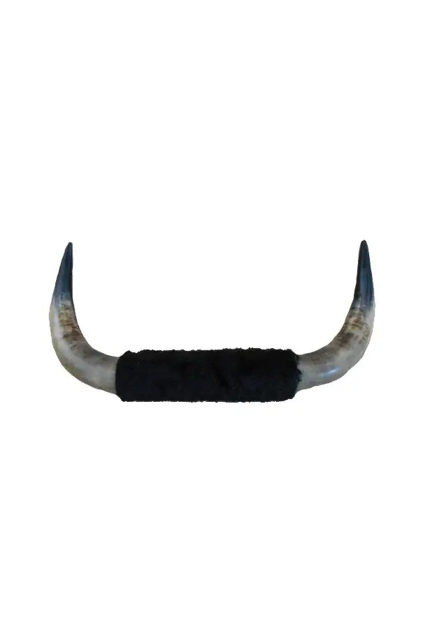 Authentic Brave Bull Horns