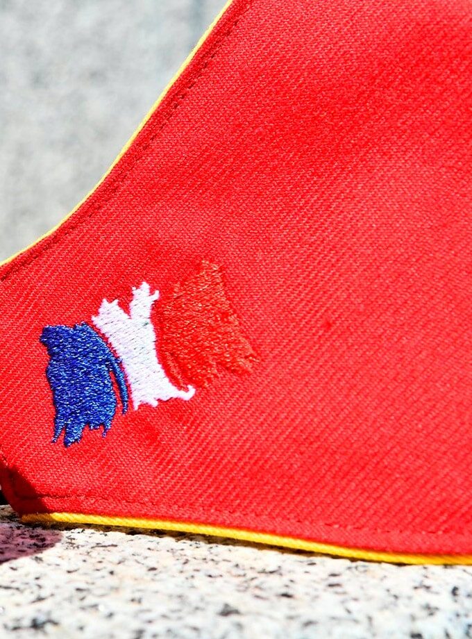 Detalle bandera francesa en mascarillas de muleta