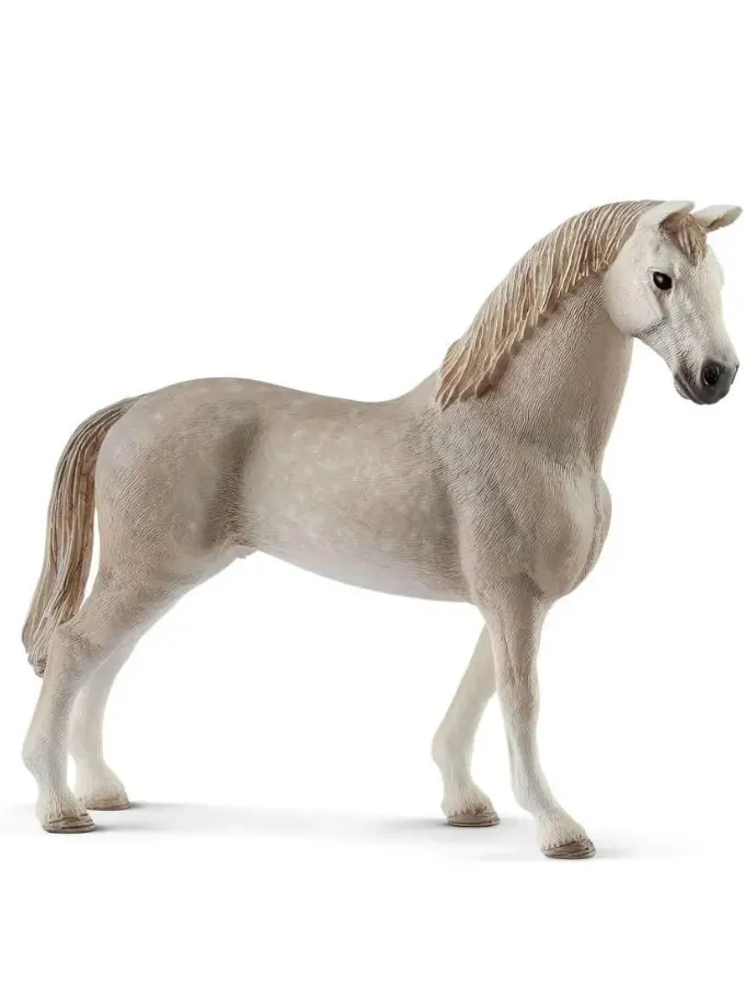 caballo gris taurino
