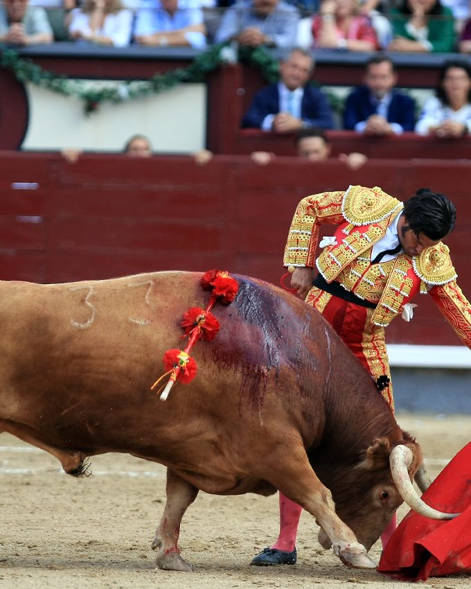 Morante Natural mente